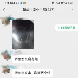 太惡心！小區(qū)自來水中驚現(xiàn)“活物”