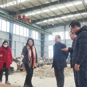 市農經站深入企業(yè)開展“四送一服”活動